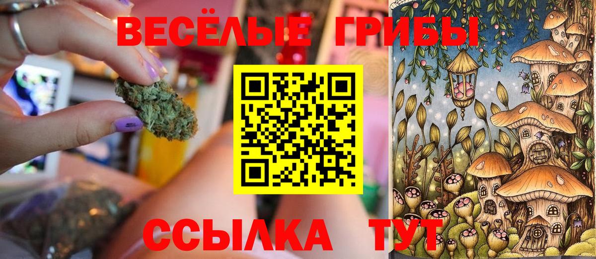 Галлюциногенные грибы MAGIC MUSHROOMS  Вход с VPN  Сальск  продажа наркотиков  Псилоцибиновые грибы ЛСД 